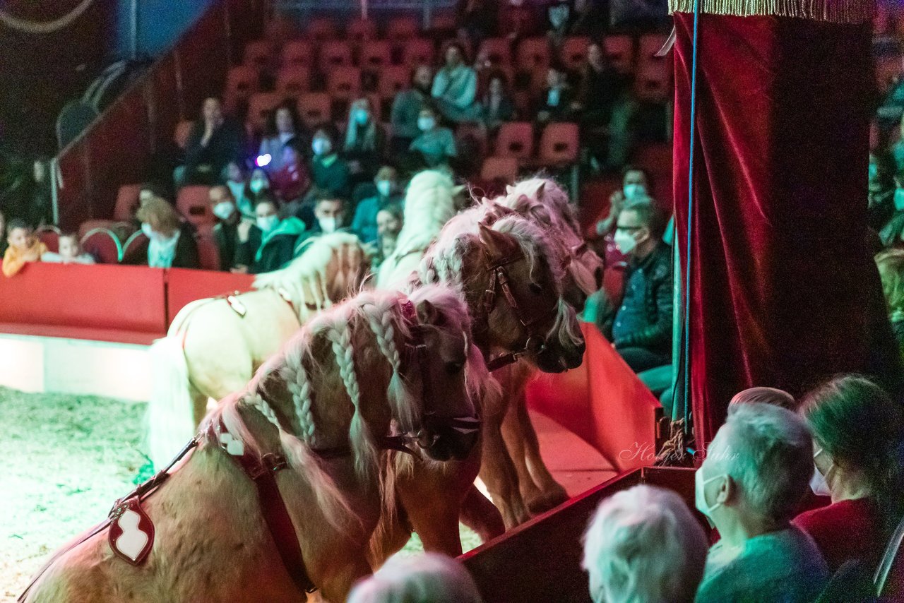 Bild 376 - Zirkus Europa
